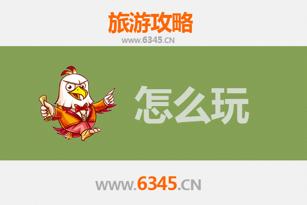 节假日鹤岗南山旅游全攻略：森林康养与城市休闲的完美融合